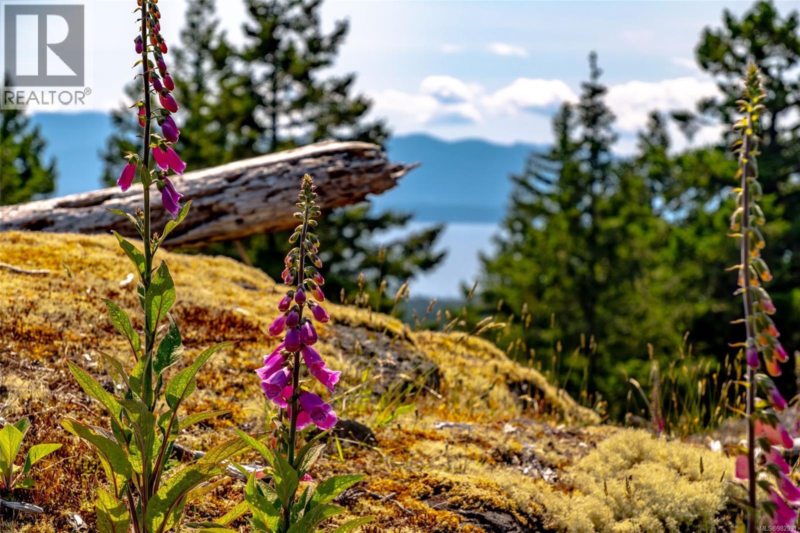 2 Main Rd, Lasqueti Island, British Columbia  V0R 2J0 - Photo 23 - 982981