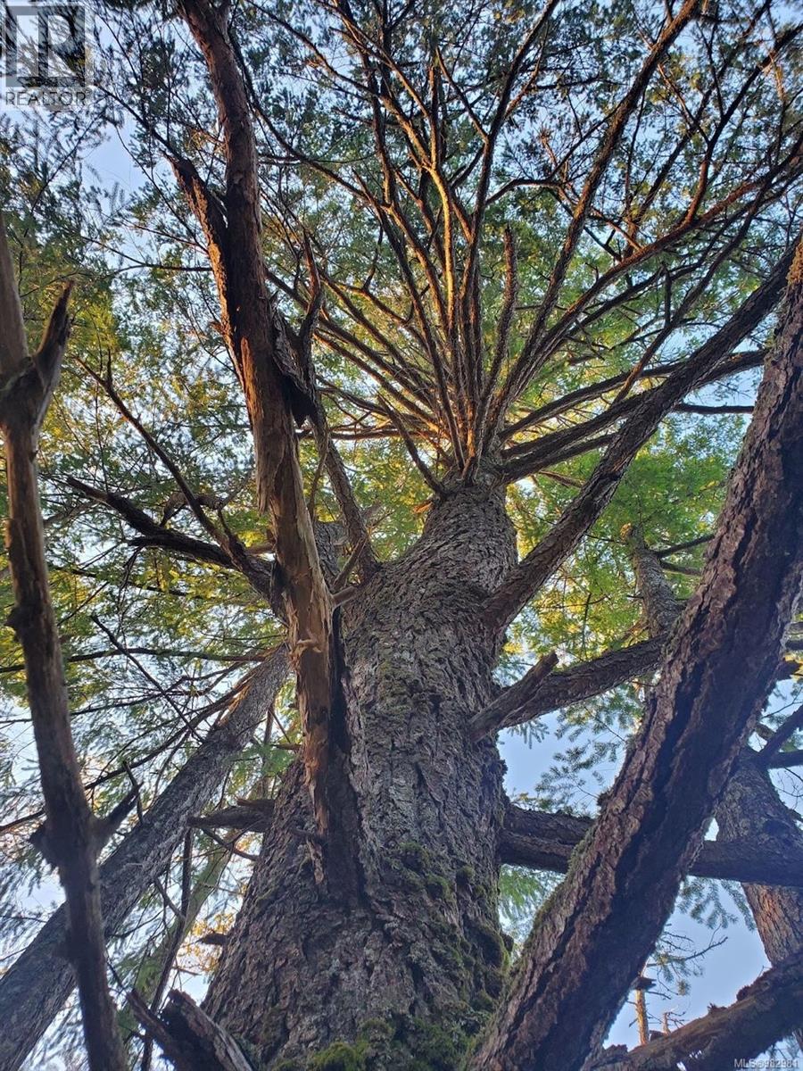 2 Main Rd, Lasqueti Island, British Columbia  V0R 2J0 - Photo 52 - 982981