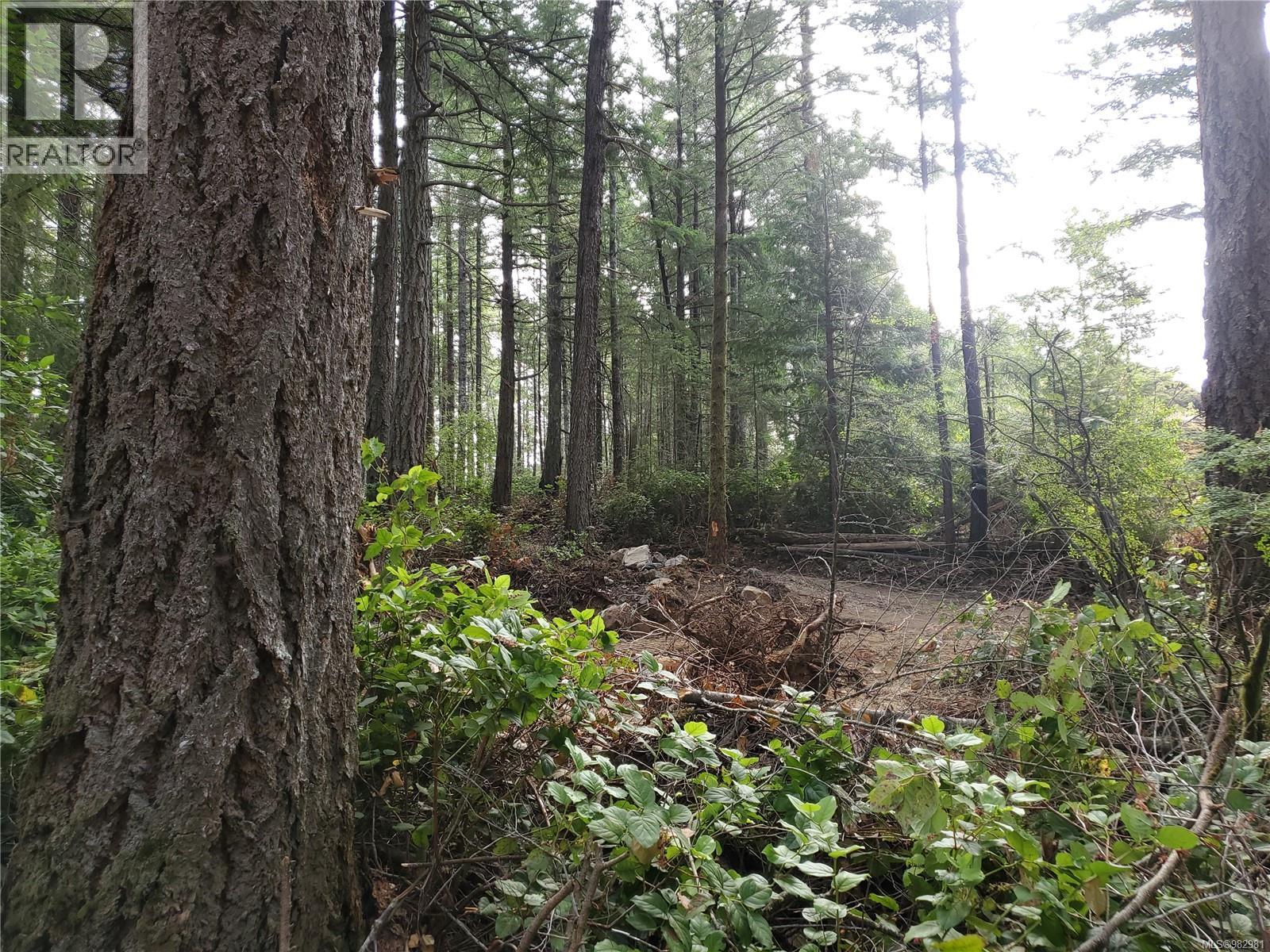 2 Main Rd, Lasqueti Island, British Columbia  V0R 2J0 - Photo 34 - 982981