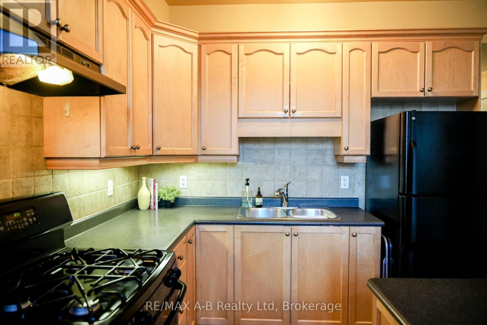 305 - 555 King Street E, Kitchener, Ontario  N2G 2L9 - Photo 11 - X12480927