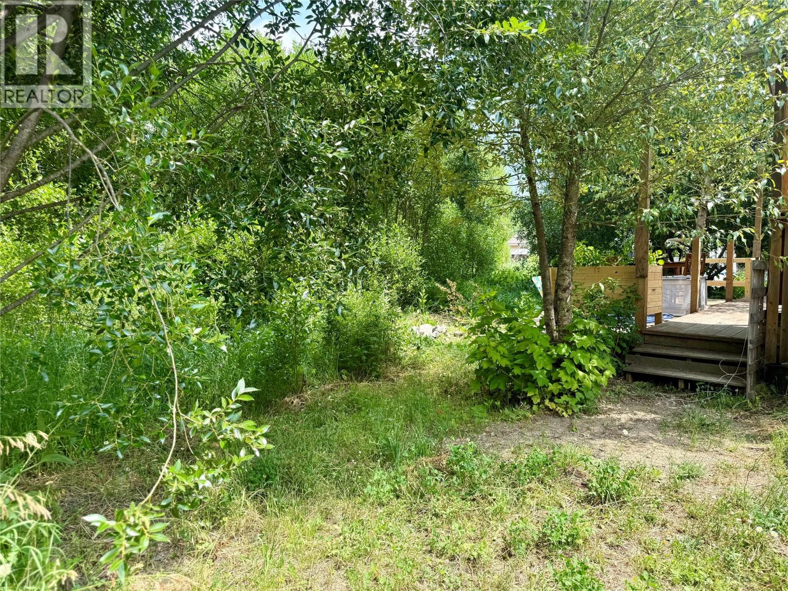 115 Railway Avenue, Salmo, British Columbia  V0G 1Z0 - Photo 9 - 10354950