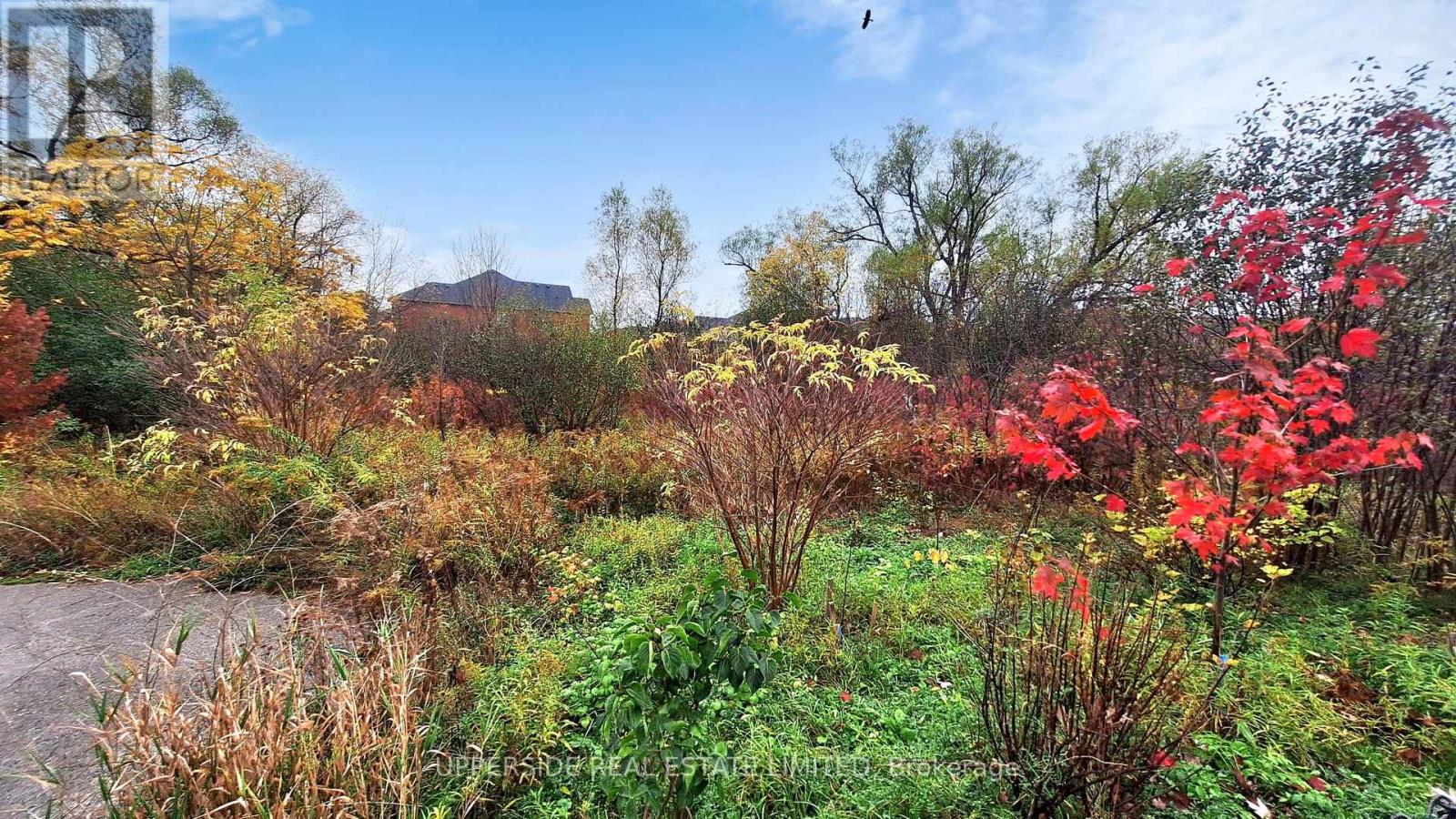 125 Walter Sinclair Court, Richmond Hill, Ontario  L4E 0X4 - Photo 48 - N12475872