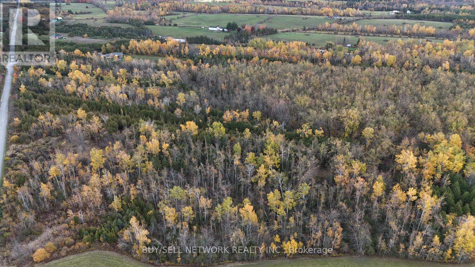 947 Division Road, Otonabee-South Monaghan, Ontario  K0L 2H0 - Photo 30 - X12479554