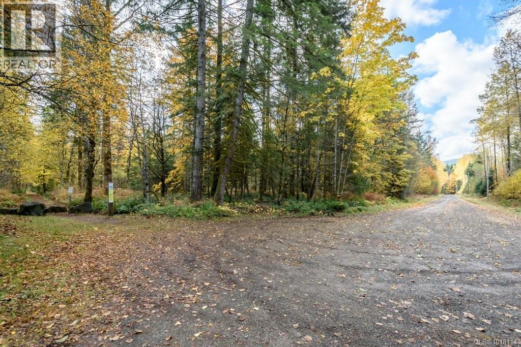 Lot 21 Railway Ave, Black Creek, British Columbia  V9J 1N4 - Photo 7 - 1018114