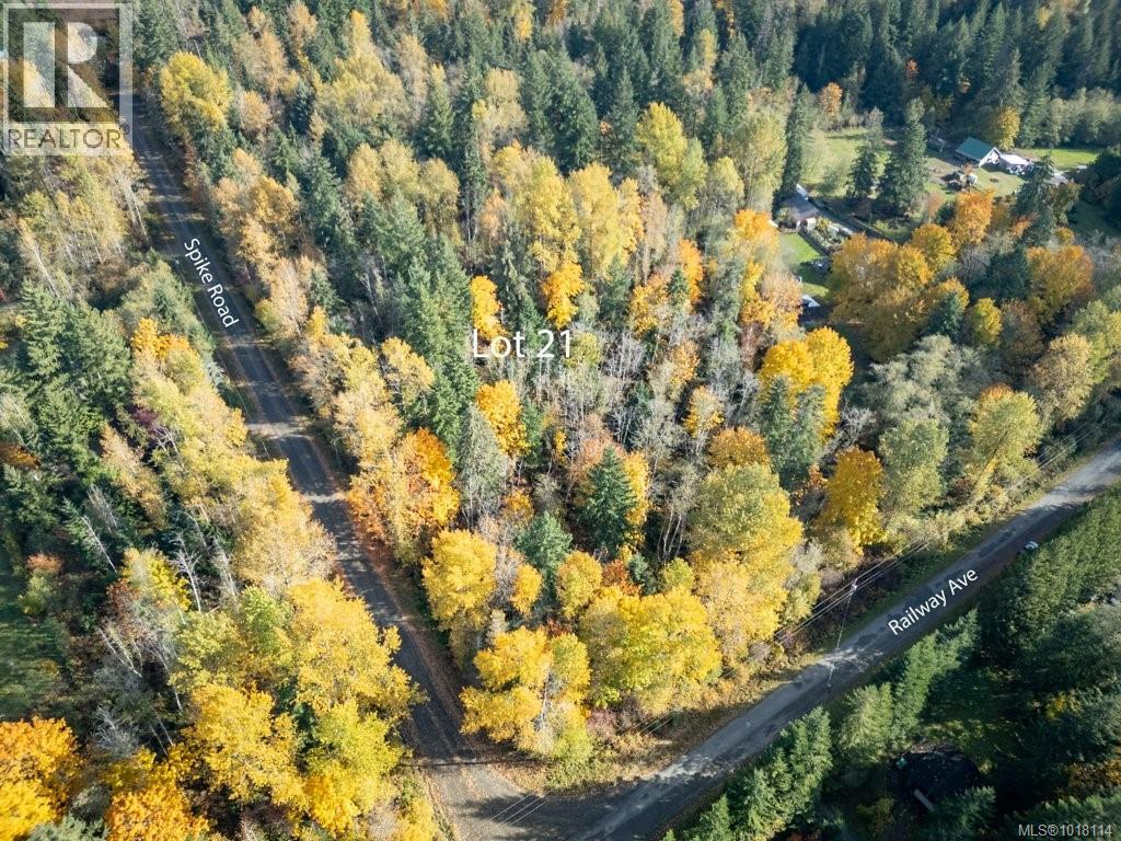 Lot 21 Railway Ave, Black Creek, British Columbia  V9J 1N4 - Photo 3 - 1018114