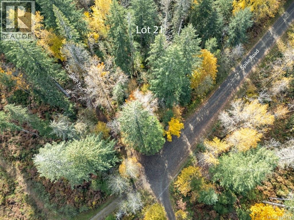 Lot 21 Railway Ave, Black Creek, British Columbia  V9J 1N4 - Photo 6 - 1018114