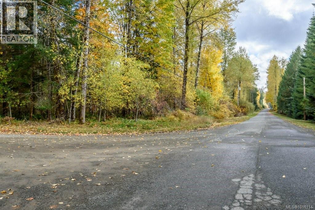 Lot 21 Railway Ave, Black Creek, British Columbia  V9J 1N4 - Photo 11 - 1018114