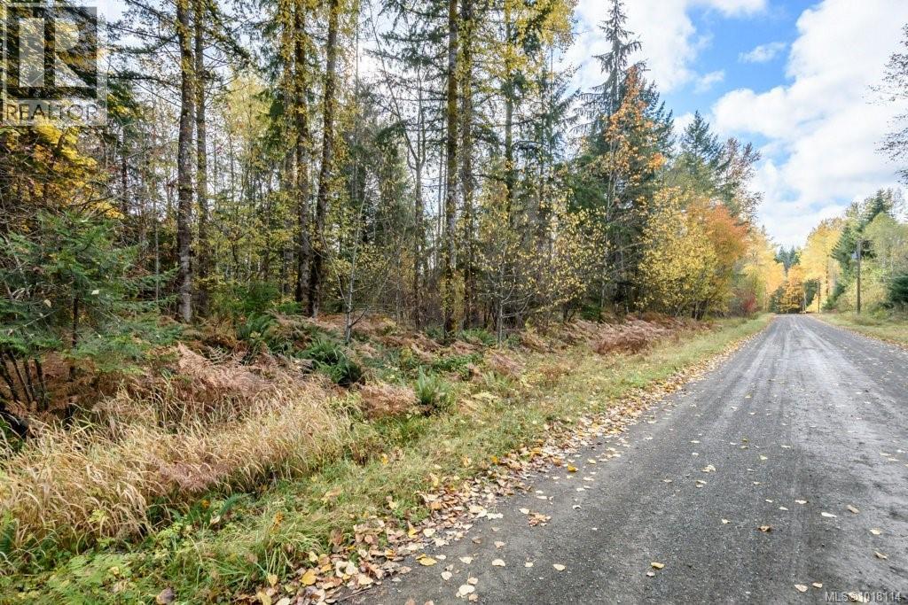 Lot 21 Railway Ave, Black Creek, British Columbia  V9J 1N4 - Photo 8 - 1018114