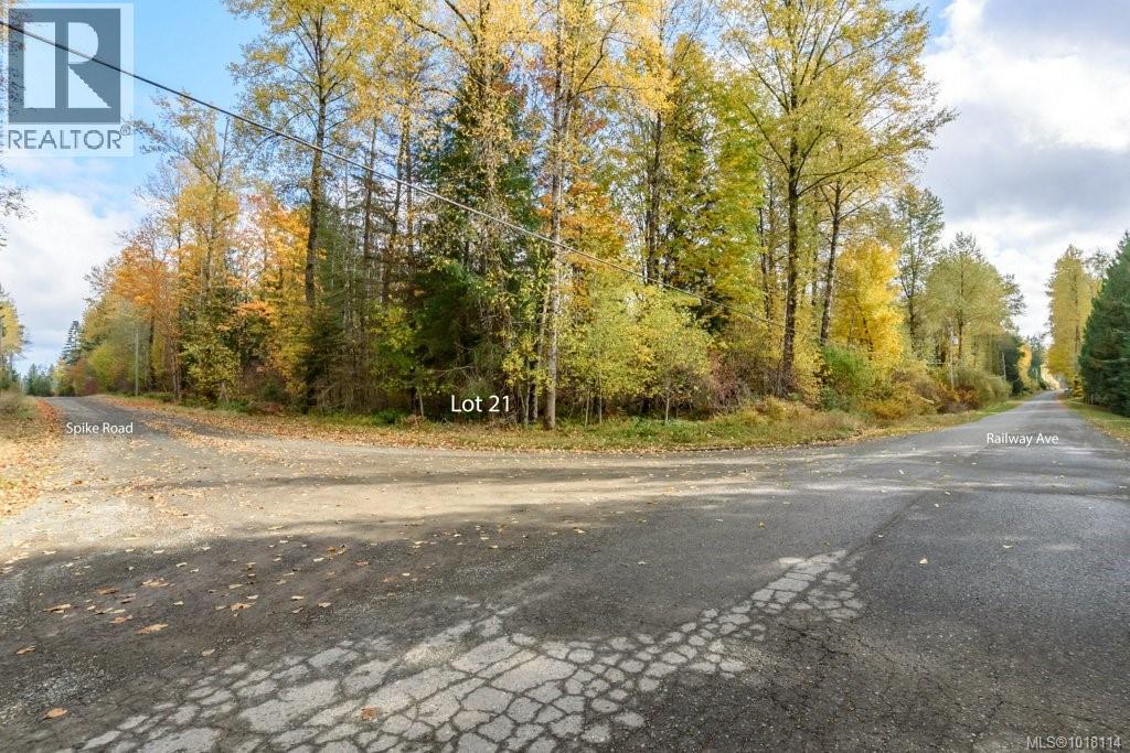 Lot 21 Railway Ave, Black Creek, British Columbia  V9J 1N4 - Photo 9 - 1018114