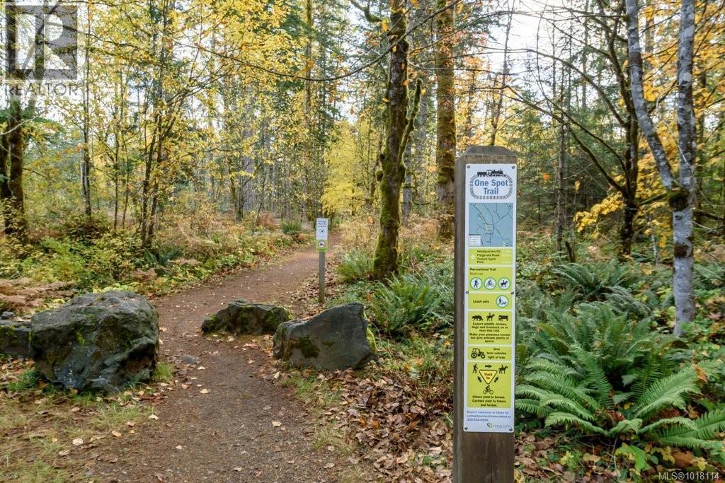 Lot 21 Railway Ave, Black Creek, British Columbia  V9J 1N4 - Photo 5 - 1018114