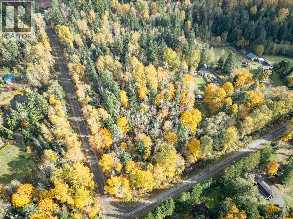 Lot 21 Railway Ave, Black Creek, British Columbia  V9J 1N4 - Photo 2 - 1018114
