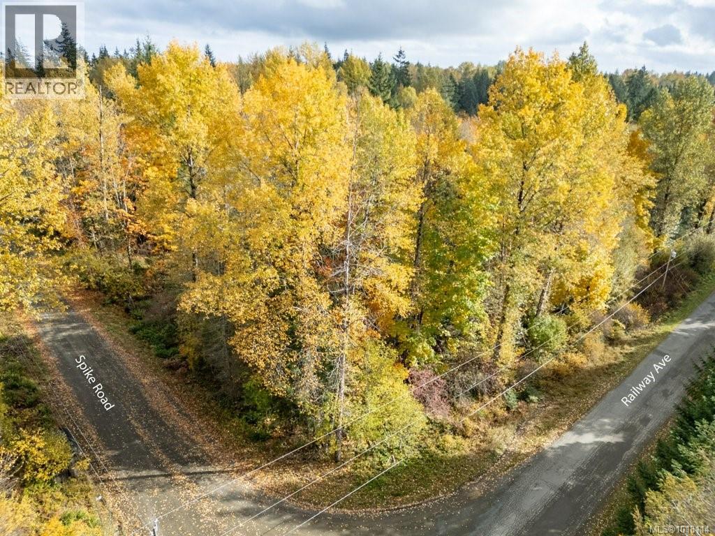Lot 21 Railway Ave, Black Creek, British Columbia  V9J 1N4 - Photo 29 - 1018114
