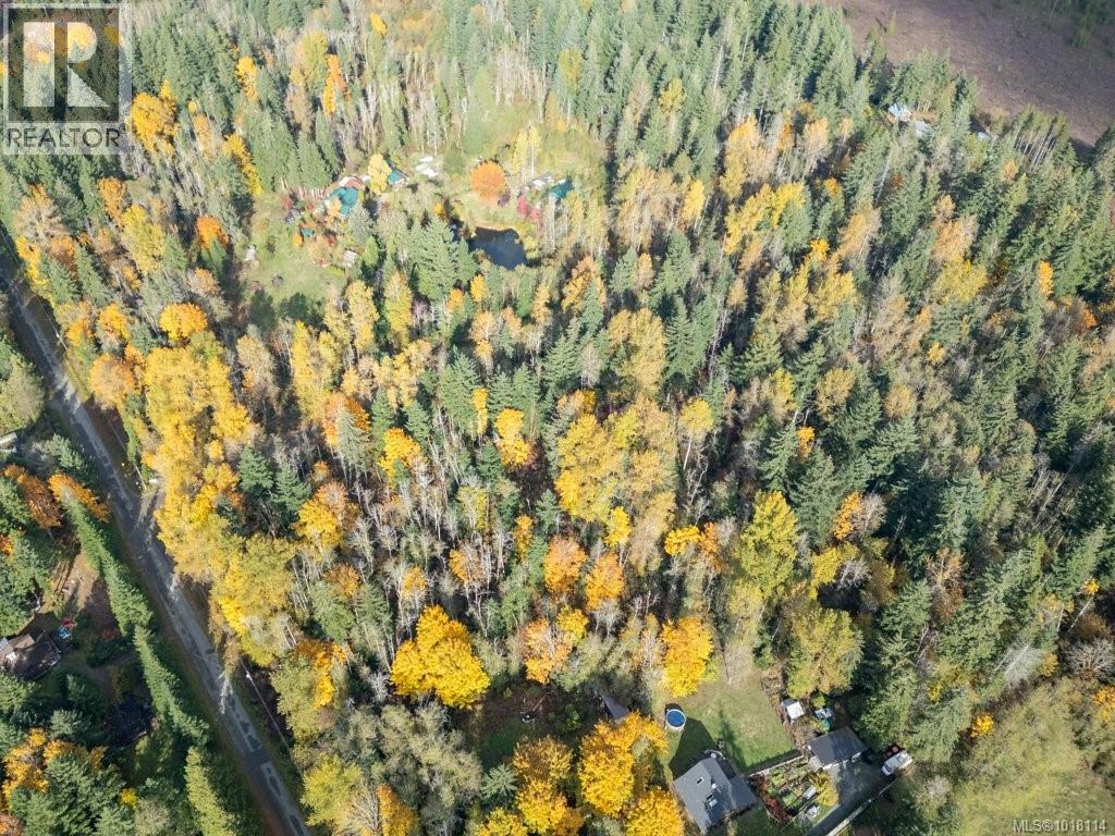 Lot 21 Railway Ave, Black Creek, British Columbia  V9J 1N4 - Photo 25 - 1018114
