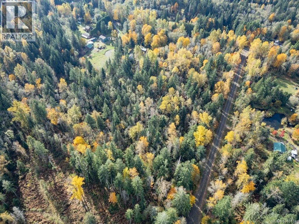 Lot 21 Railway Ave, Black Creek, British Columbia  V9J 1N4 - Photo 24 - 1018114