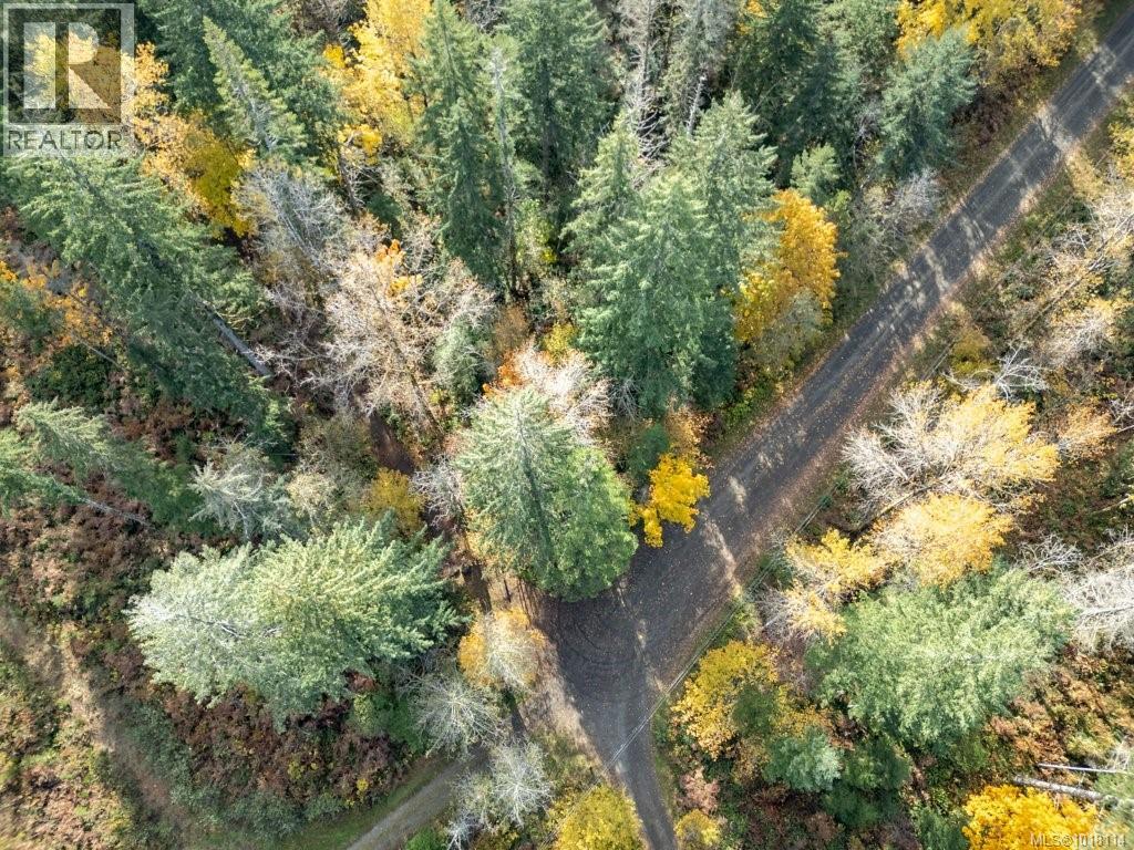 Lot 21 Railway Ave, Black Creek, British Columbia  V9J 1N4 - Photo 20 - 1018114