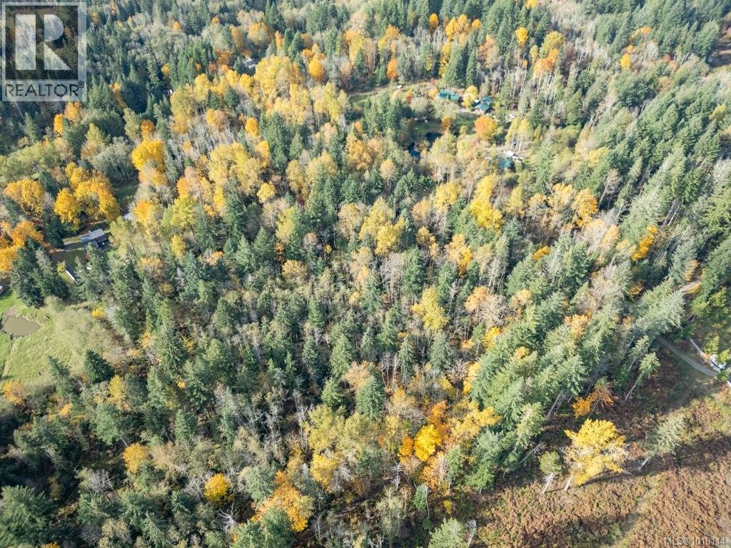 Lot 21 Railway Ave, Black Creek, British Columbia  V9J 1N4 - Photo 21 - 1018114