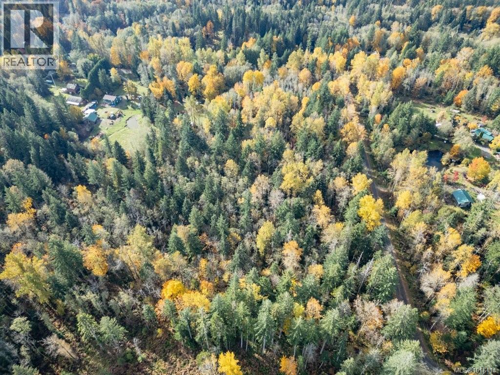Lot 21 Railway Ave, Black Creek, British Columbia  V9J 1N4 - Photo 22 - 1018114