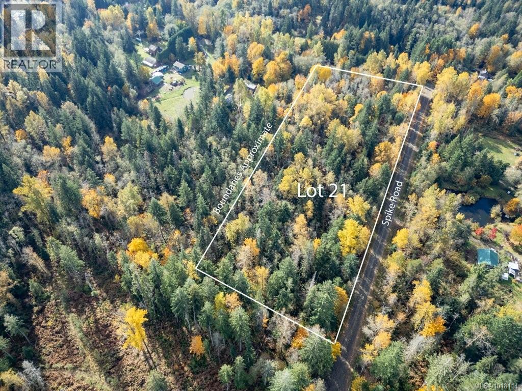 Lot 21 Railway Ave, Black Creek, British Columbia  V9J 1N4 - Photo 23 - 1018114
