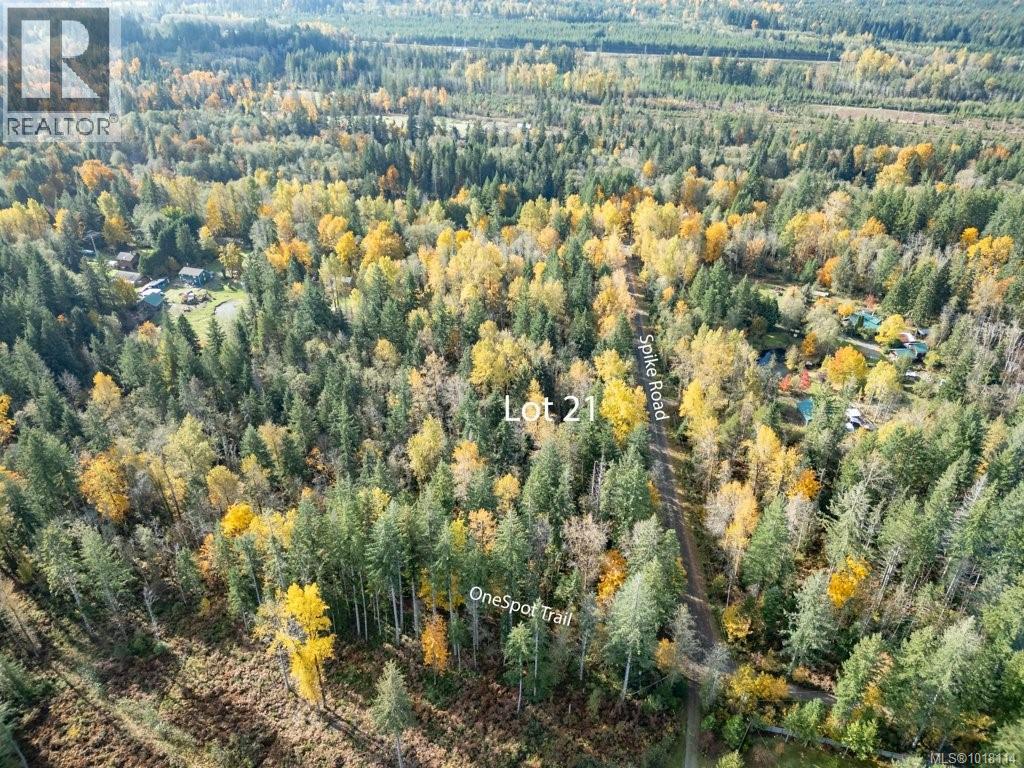Lot 21 Railway Ave, Black Creek, British Columbia  V9J 1N4 - Photo 17 - 1018114
