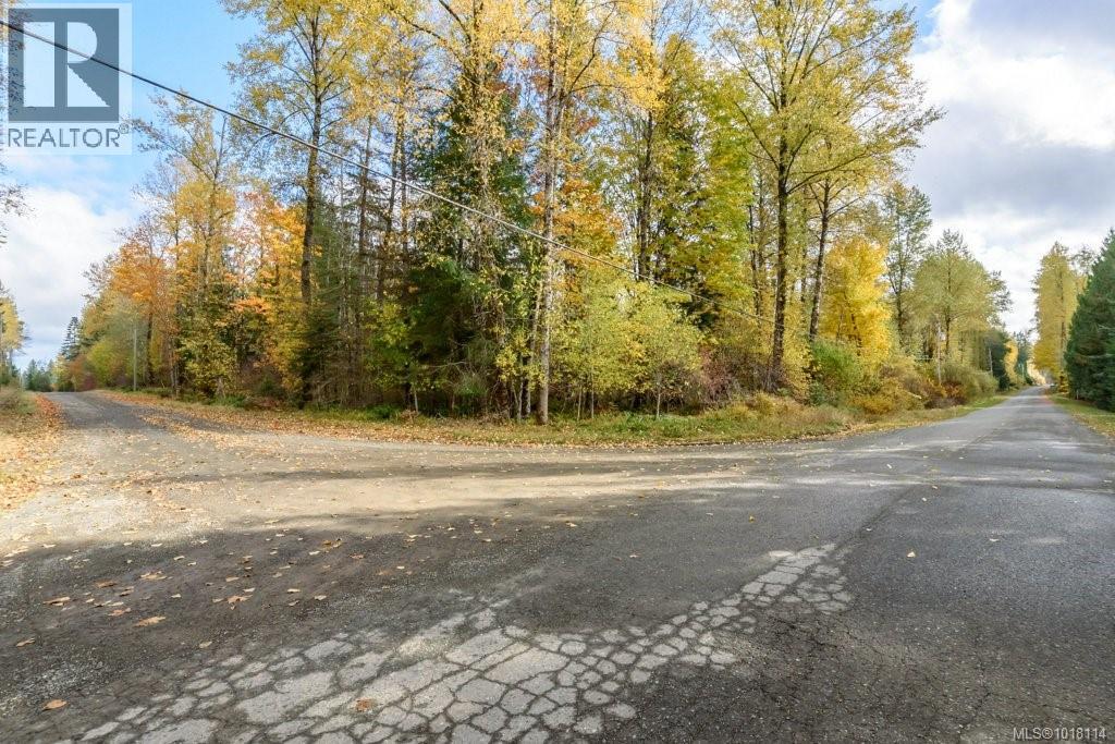 Lot 21 Railway Ave, Black Creek, British Columbia  V9J 1N4 - Photo 10 - 1018114