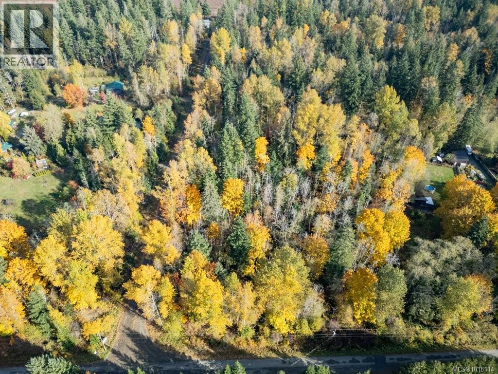 Lot 21 Railway Ave, Black Creek, British Columbia  V9J 1N4 - Photo 13 - 1018114