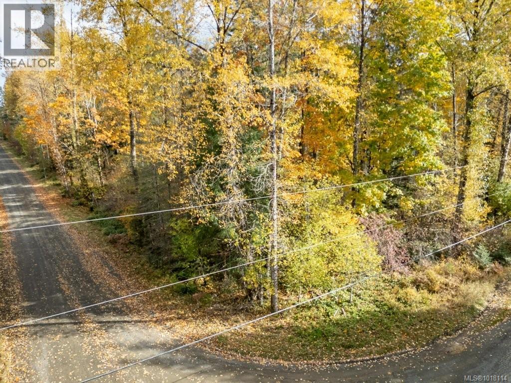 Lot 21 Railway Ave, Black Creek, British Columbia  V9J 1N4 - Photo 28 - 1018114
