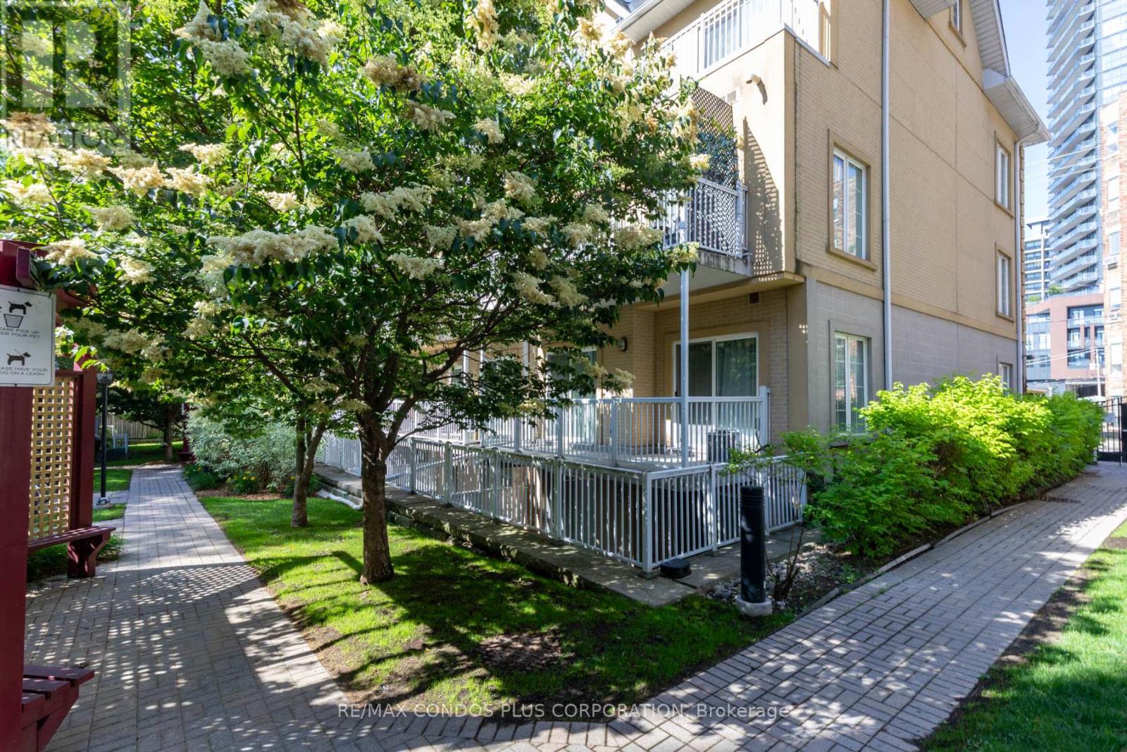 237 - 179 Bleecker Street, Toronto, Ontario  M4X 1L9 - Photo 30 - C12480983