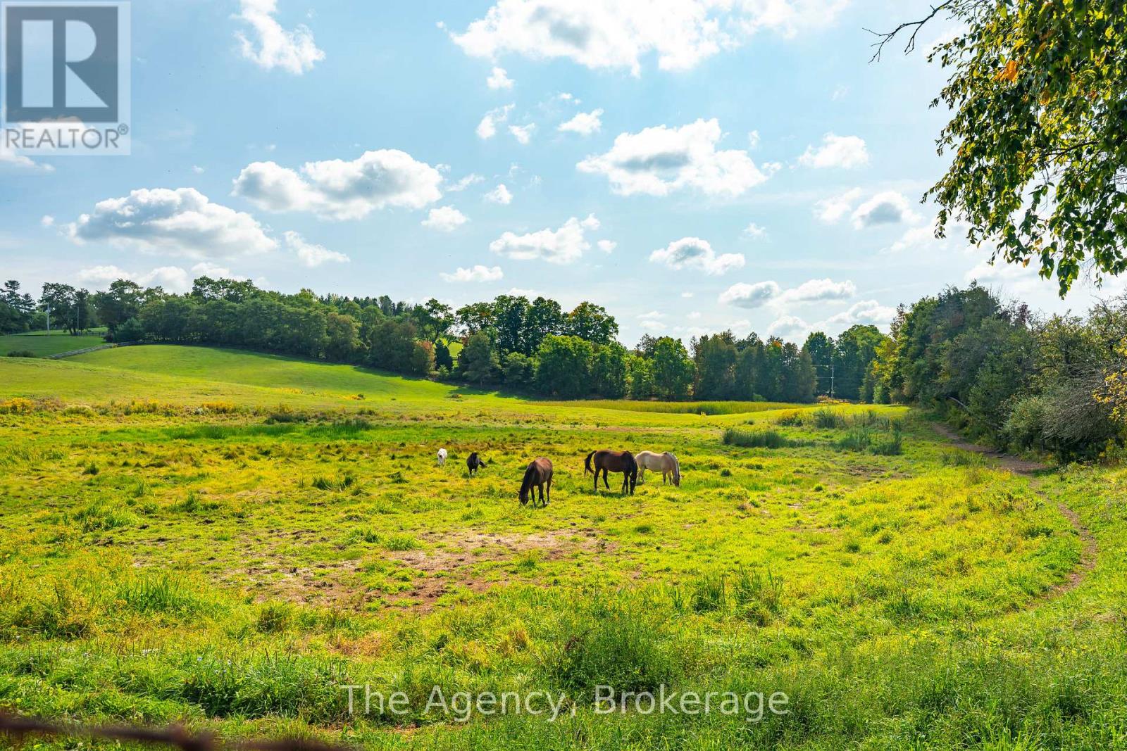 5150 17 Side Road, King (Schomberg), Ontario  L0G 1T0 - Photo 43 - N12481018