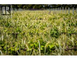 LOT P 10925 248 STREET, Maple Ridge, British Columbia