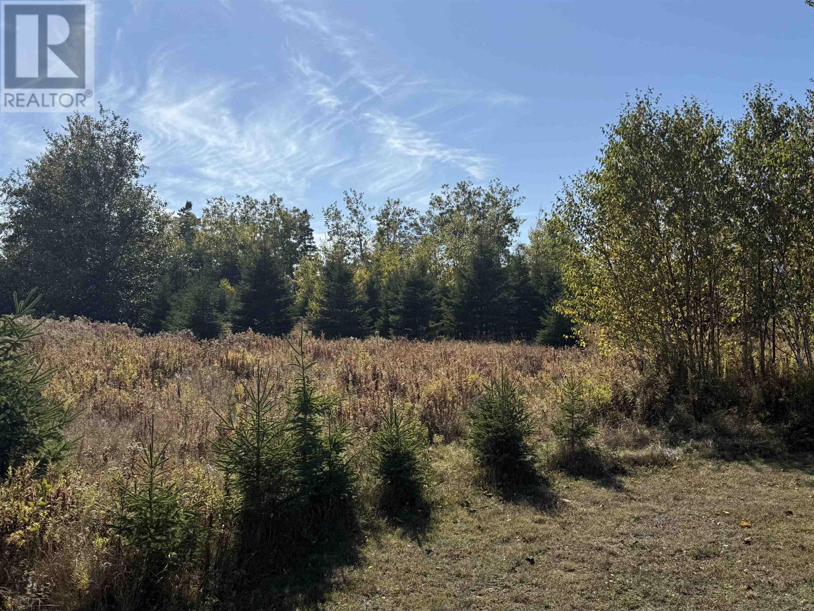 Lot Halle Court, Pleasant Grove, Prince Edward Island  C0A 1P0 - Photo 7 - 202526573