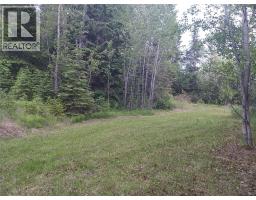 Parcel B VERMILLION Street, spillimacheen, British Columbia