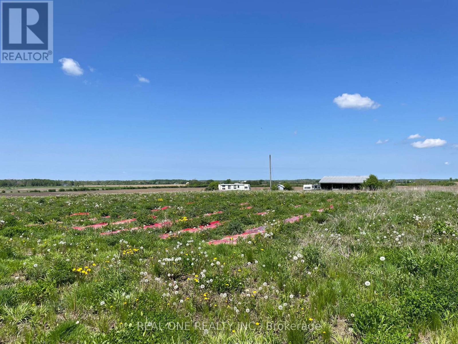 2065b Thorah Concession Rd 4 Road, Brock, Ontario  L0K 1A0 - Photo 6 - N12481041