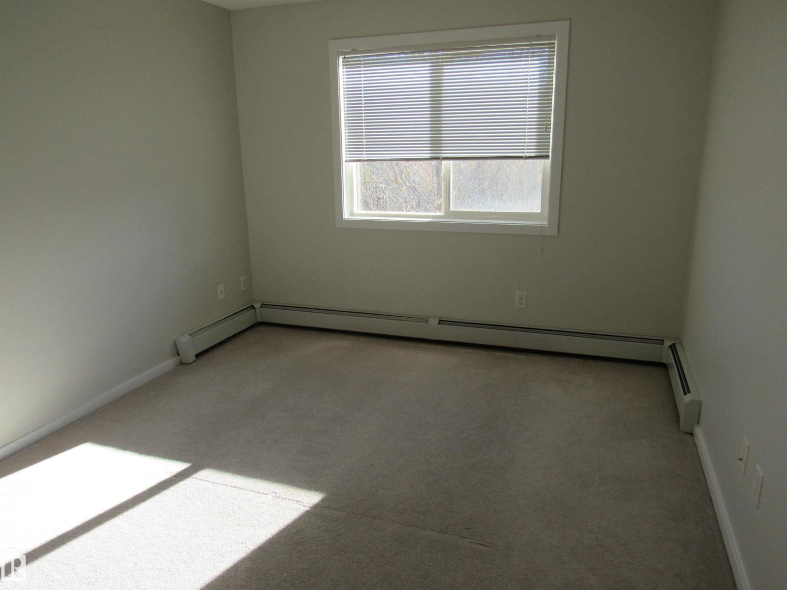 #234 504 Albany Wy Nw, Edmonton, Alberta  T6V 0L2 - Photo 20 - E4463424