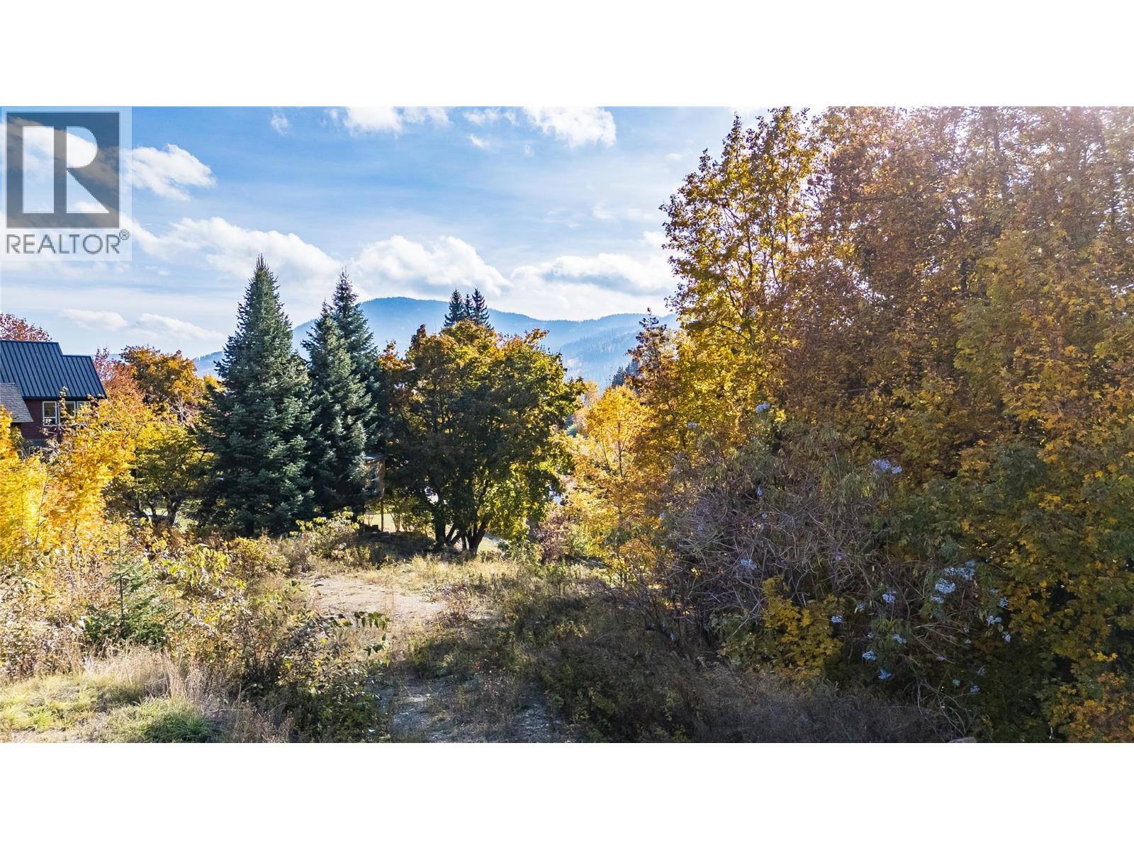 1873 Cook Avenue, Rossland, British Columbia  V0G 1Y0 - Photo 2 - 10366632