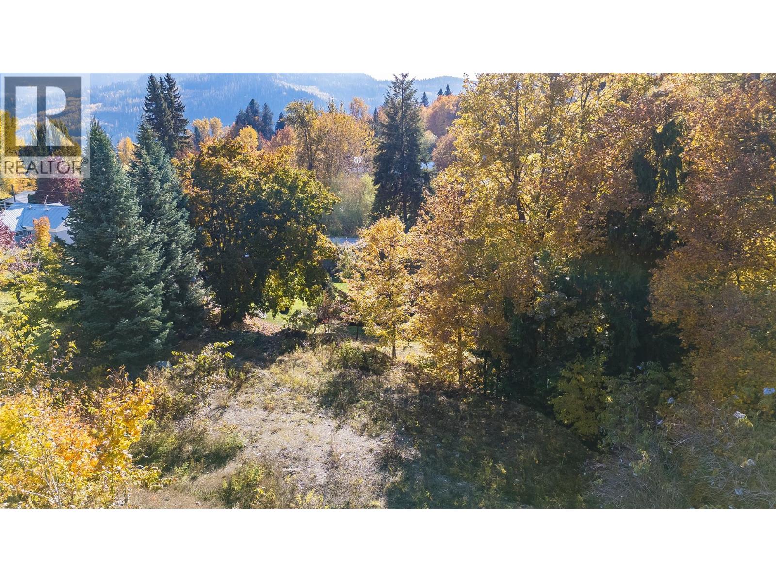 1873 Cook Avenue, Rossland, British Columbia  V0G 1Y0 - Photo 3 - 10366632