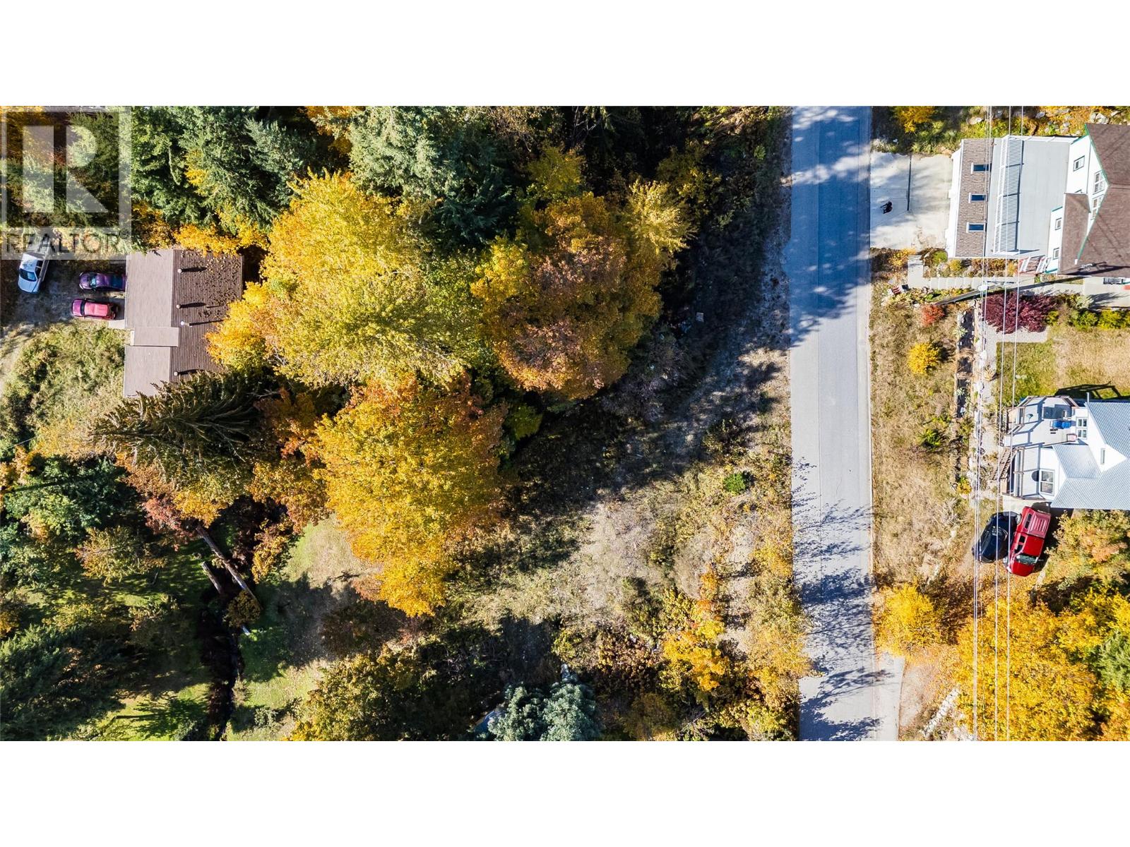 1873 Cook Avenue, Rossland, British Columbia  V0G 1Y0 - Photo 6 - 10366632