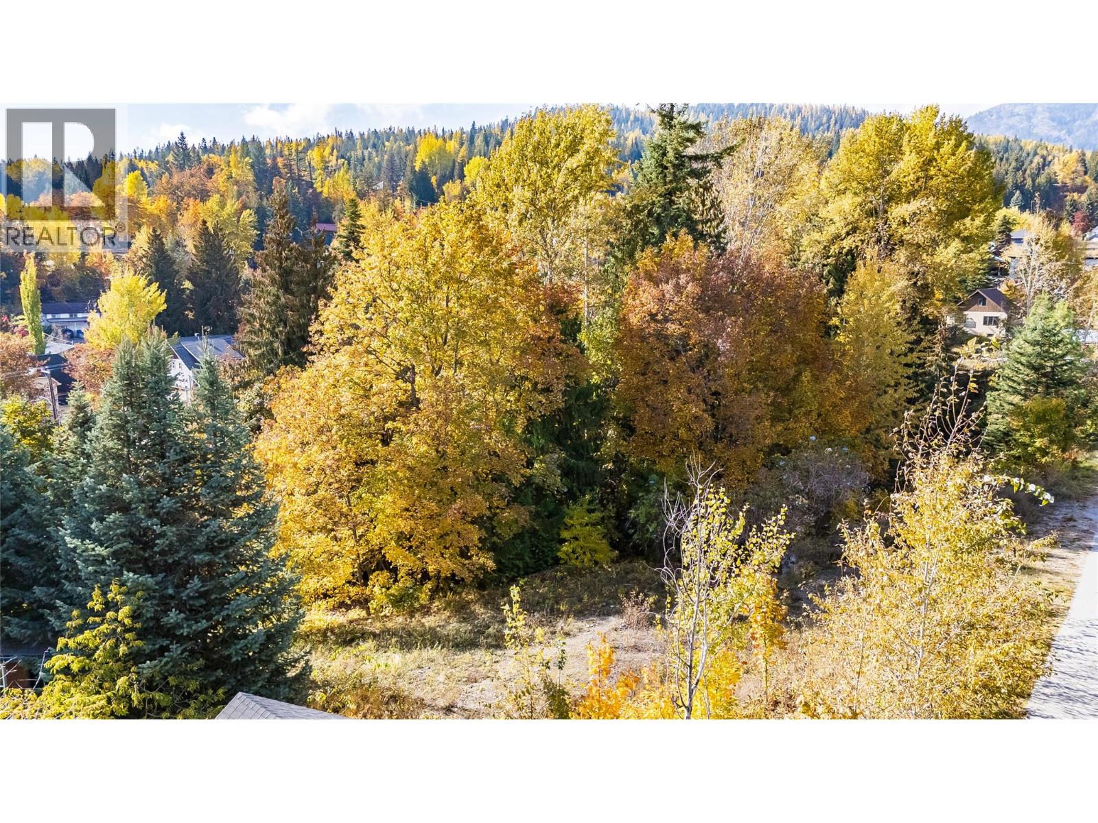 1873 Cook Avenue, Rossland, British Columbia  V0G 1Y0 - Photo 4 - 10366632
