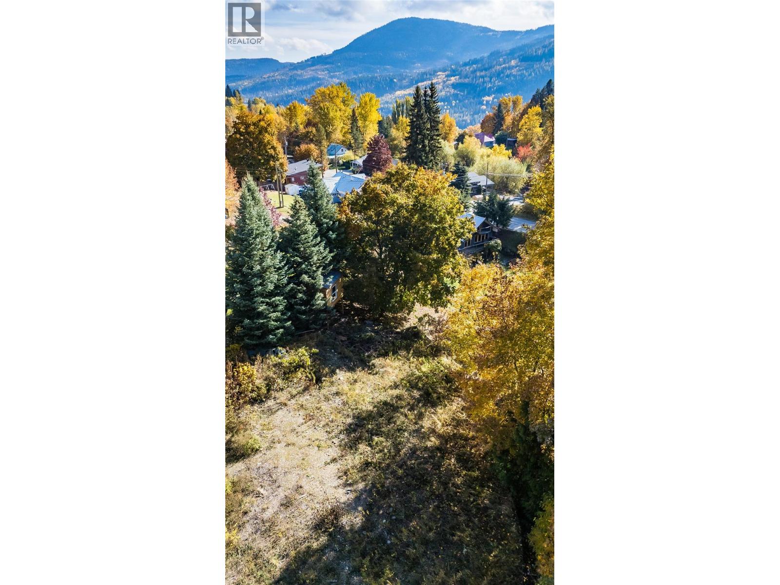 1873 Cook Avenue, Rossland, British Columbia  V0G 1Y0 - Photo 5 - 10366632
