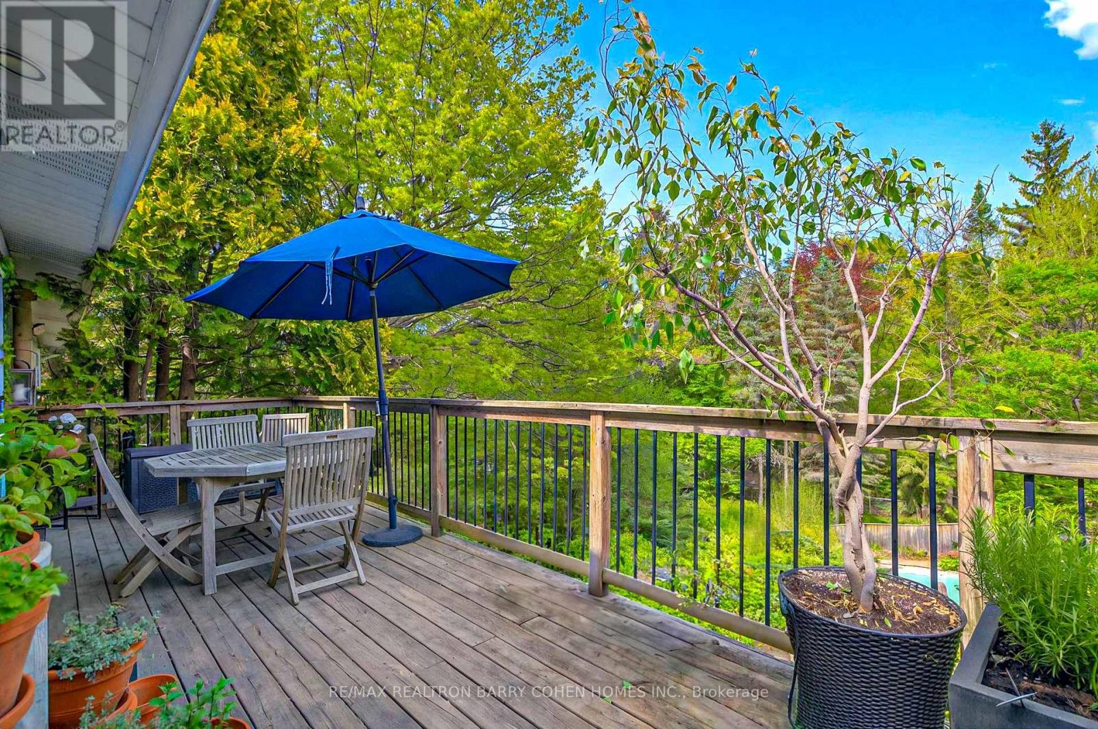 16 Wilket Road, Toronto, Ontario  M2L 1N6 - Photo 3 - C12481241