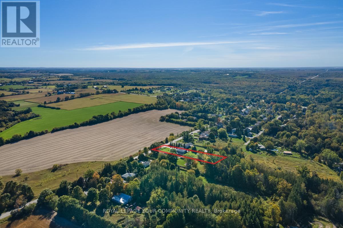 10450 Ravenshoe Road, Georgina, Ontario  L0C 1L0 - Photo 48 - N12481223