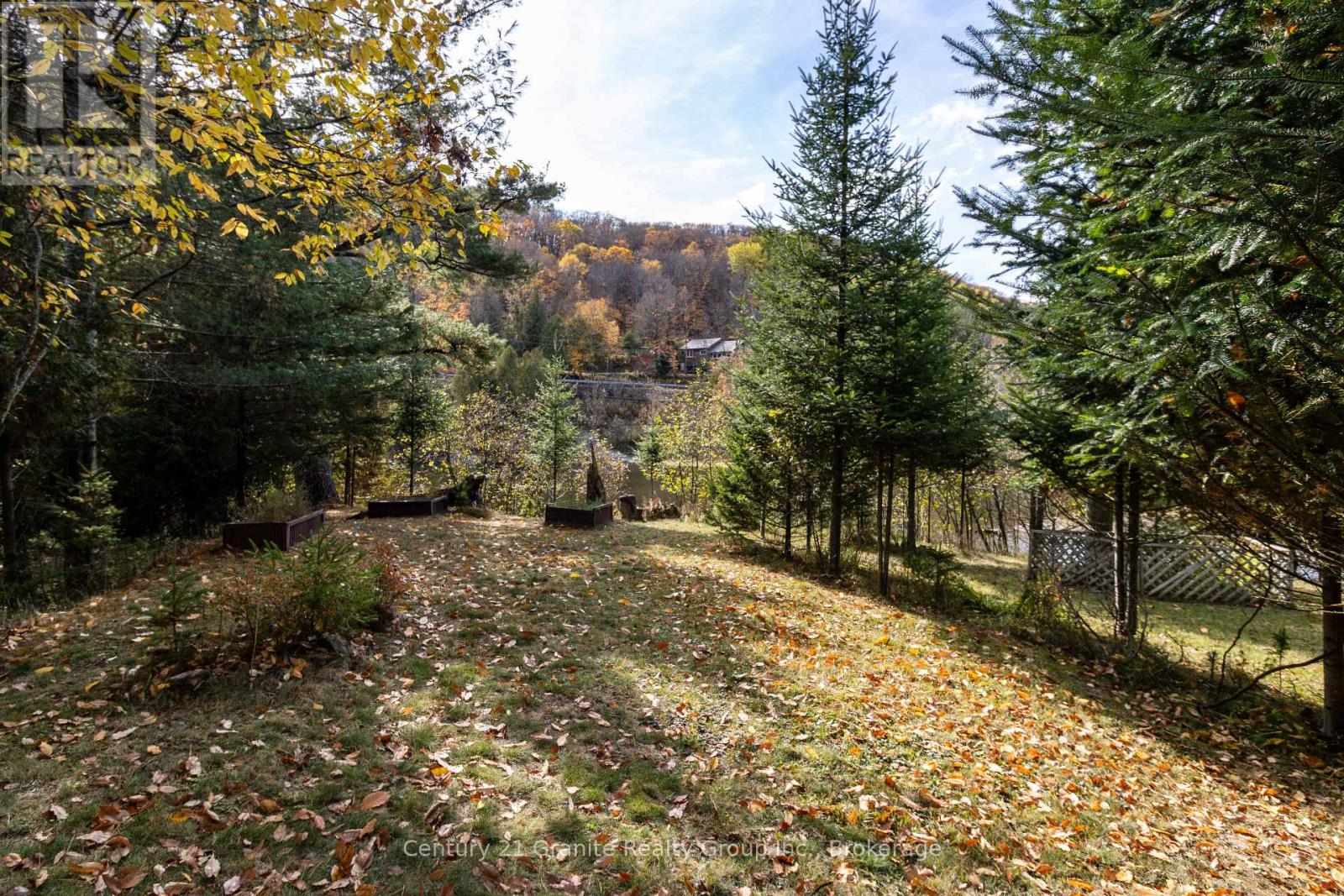 50 Riverside Drive, Dysart Et Al, Ontario  K0M 1S0 - Photo 42 - X12481248