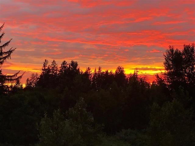 16266 58a Avenue, Surrey, British Columbia  V3S 4Y5 - Photo 38 - R3035229