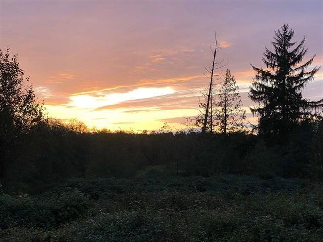 16266 58a Avenue, Surrey, British Columbia  V3S 4Y5 - Photo 36 - R3035229