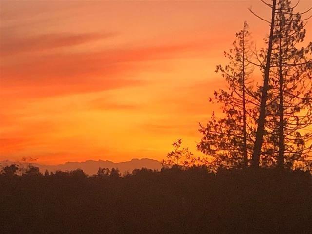 16266 58a Avenue, Surrey, British Columbia  V3S 4Y5 - Photo 37 - R3035229