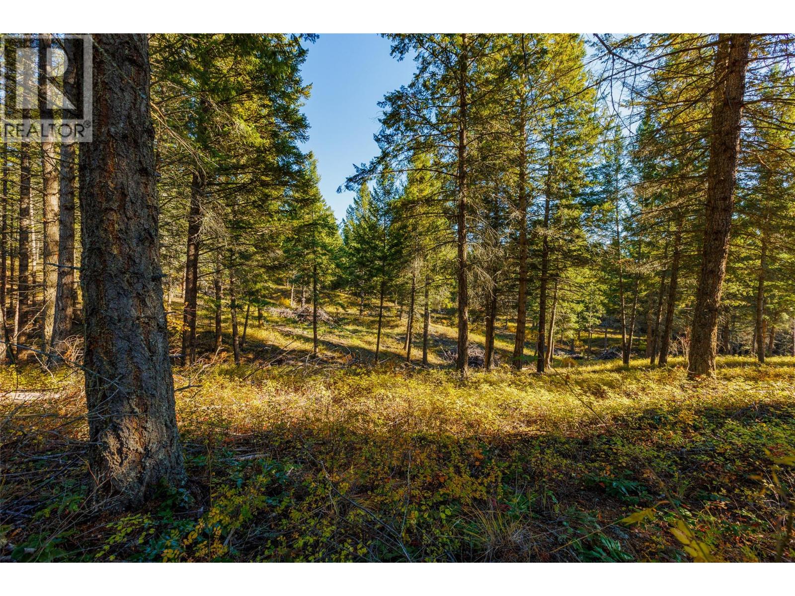 Lot 75 7th Street, Creston, British Columbia V0B 1G2 - Photo 13 - 10366182