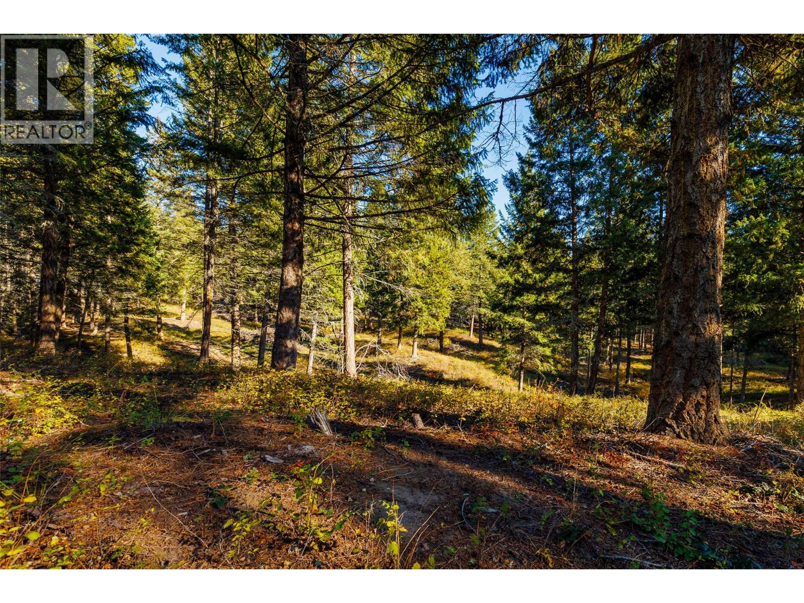 Lot 75 7th Street, Creston, British Columbia V0B 1G2 - Photo 11 - 10366182