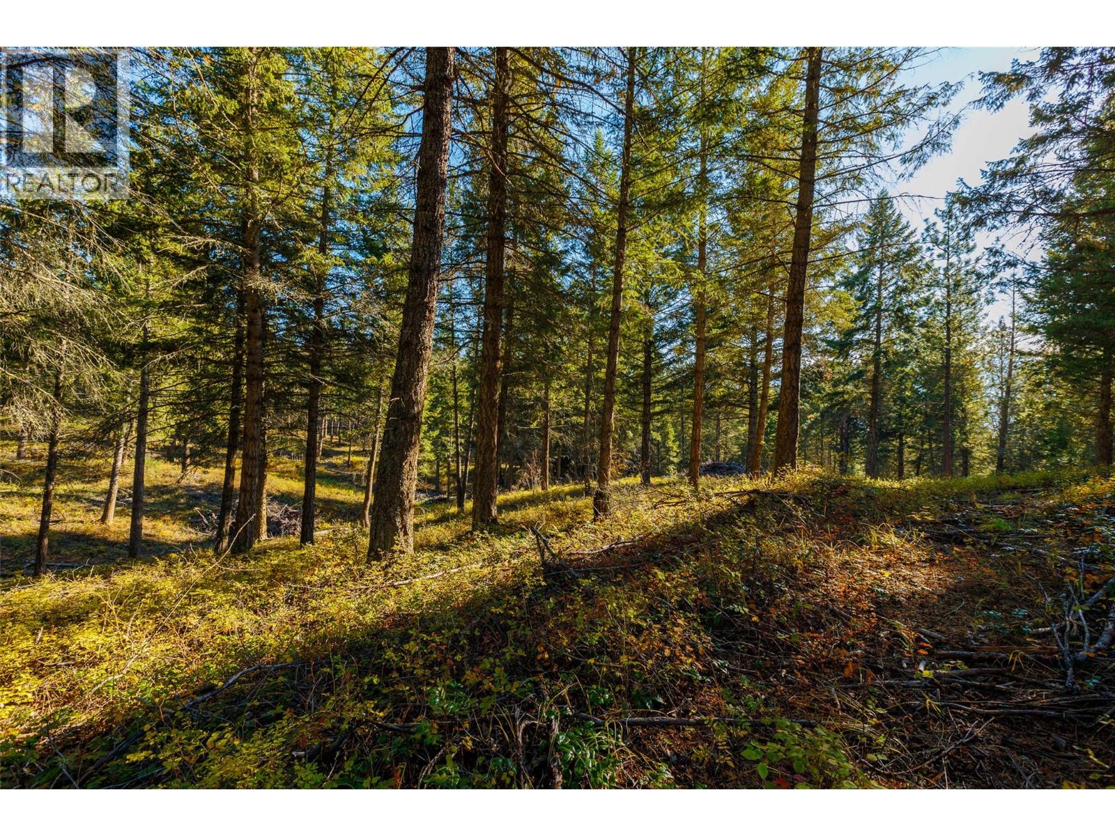 Lot 75 7th Street, Creston, British Columbia V0B 1G2 - Photo 12 - 10366182