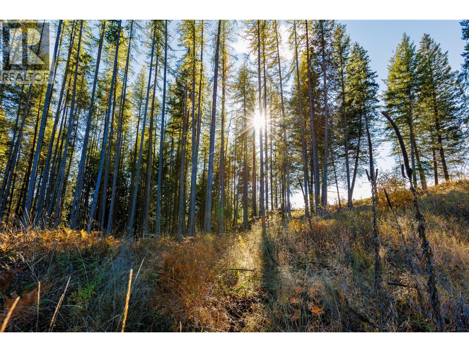 Lot 75 7th Street, Creston, British Columbia V0B 1G2 - Photo 15 - 10366182
