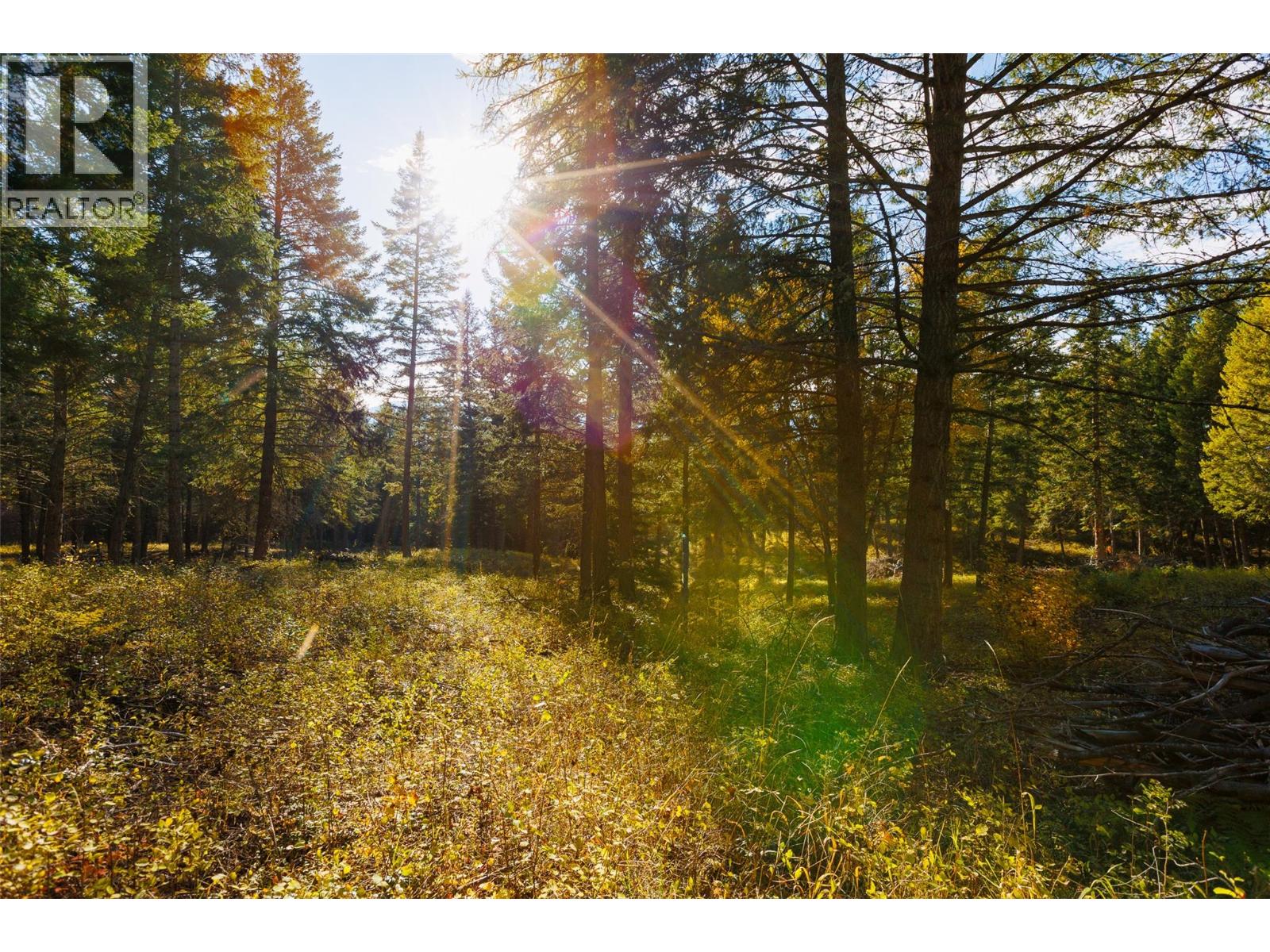 Lot 75 7th Street, Creston, British Columbia V0B 1G2 - Photo 17 - 10366182