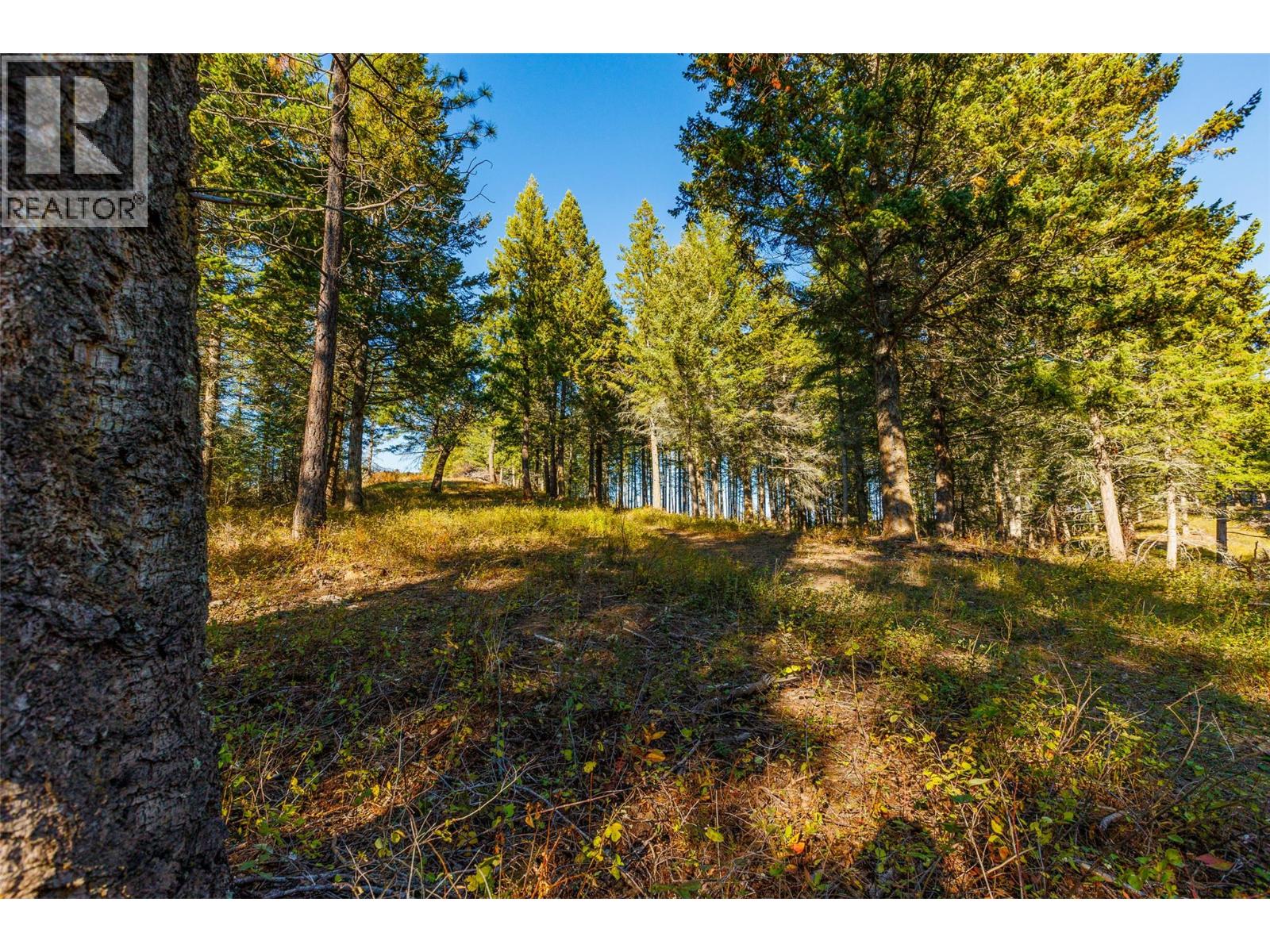 Lot 75 7th Street, Creston, British Columbia V0B 1G2 - Photo 10 - 10366182